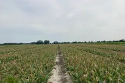 archieffoto IMG_0001