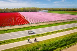 Tulpenfestival-2026_2_©David-Verolme