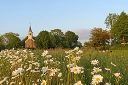 Tsjerke Offenwier - Harrie Dijkstra