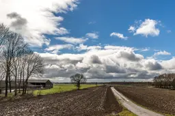 Foto moddercampagne rechtenvrij