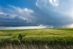 storm 5220380 1280