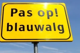 unyvby08o64lcyp12x7z7h75b pas op voor blauwalg