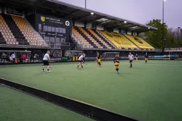 walkinghockey
