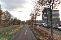 bomen in de schutskamp
