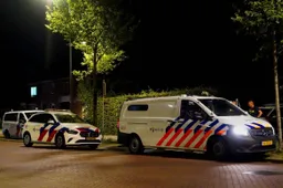 2025-08-13_Meesters_Multi_Media_Foto`s_Massale_Vechtpartij_Kermis_Rosmalen5