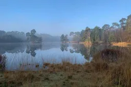 Marine van der Moolen