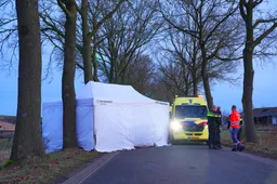 376d2546-4e1b-47a1-b08f-cfe50ee35c46