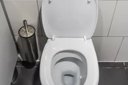 jarmoluk-toilets-265278_1920