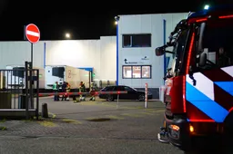 205159b7-1ea8-4add-a753-7890993b6113