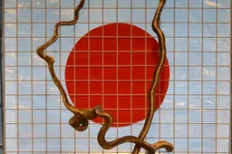 Foto expositie Bert van Leeuwen