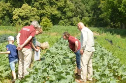 Open dag Herenboeren Wilhelminapark_kijkje op het land