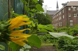kloostertuin-scaled