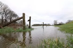 Schermafbeelding 2025-12-11 100150