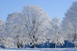 Schermafbeelding 2026-01-05 141729