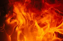 brand