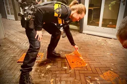 OrangeTheWorldDinkelland1