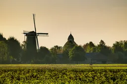 200procentdongenfoto