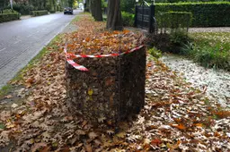 bladkorven1