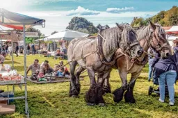 boerenfair23