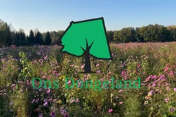 onsdongeland1223