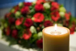 pqd5fc3efayqxjfz5x3iqf5ro inmemoriam