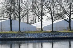 nestel2