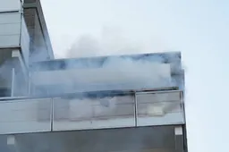 brandrb1