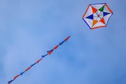 schonelucht2