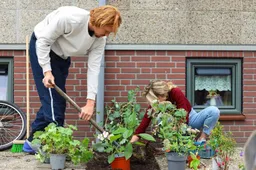tegelwippen