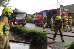 brand11