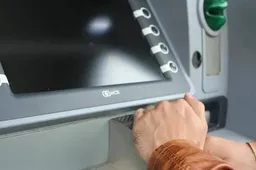 pinnen1