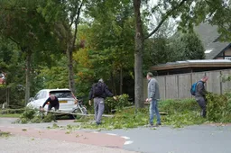 boomwesterlaan