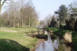 donge25