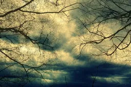 storm25