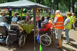 zonnebloem1