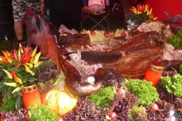 bbq10
