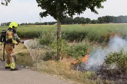bermbrand