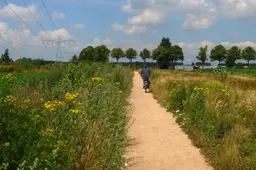 evz