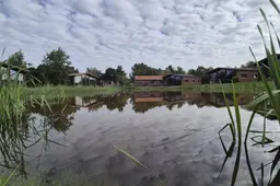 pukemuk