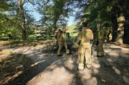 brandassen1