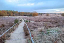 Herstelde trap Holtingerveld - C Staatsbosbeheer - Betsy Koning