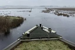 Ruiner-Aa-december-2025-_4_