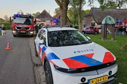 brandekehaar