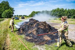 brandcompost