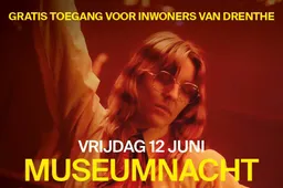 Museumnacht Amrita Sher-Gil 5