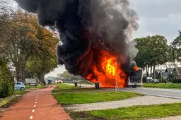 lijnbus