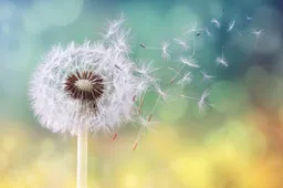 shutterstock 617684894