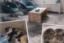 Scherm­afbeelding 2026-03-20 om 10.35.18