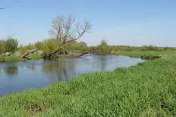 bsawczuk-spring-4989115_1920
