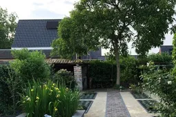 Drimmelen